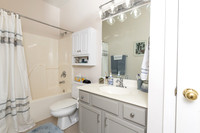 SpringGlen.118