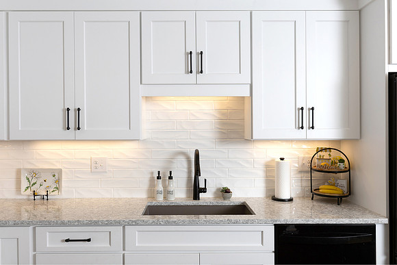 GoranfloKitchen114