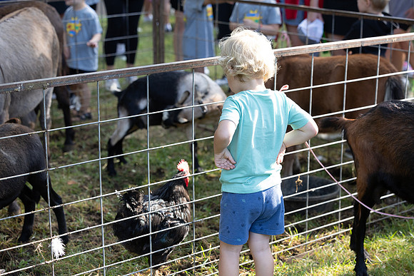 KidsCenterWalk&Roll2025-243