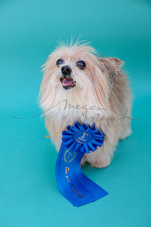 Bella-118