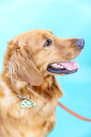Beau