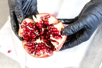 TrueNorthCatering001-109