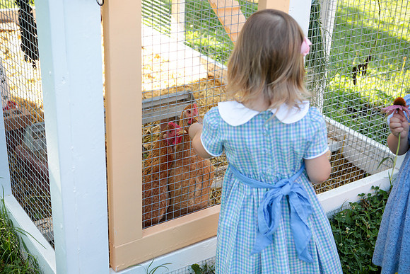 Miller-168