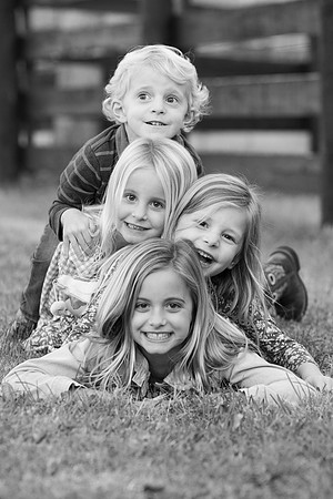 LoopFamily-255