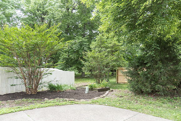 FallingTree -161