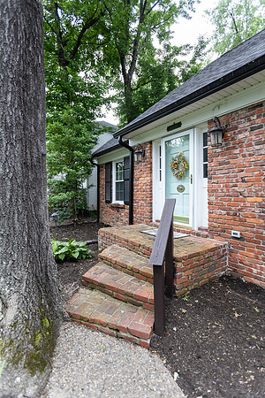 FallingTree -167