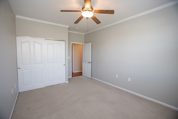 sugarpine147