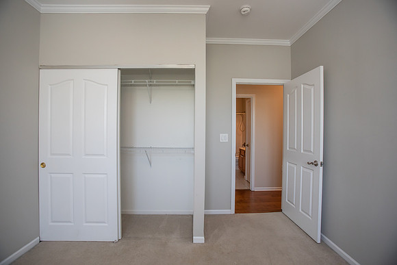 sugarpine148