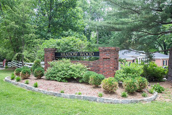 Shadowood197