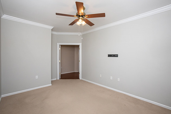 sugarpine139