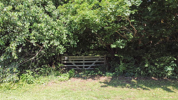 OldLaGrangeRd-121
