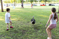 KidsWalk2026-111