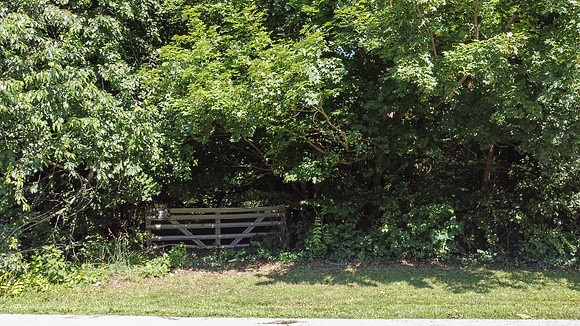 OldLaGrangeRd-119