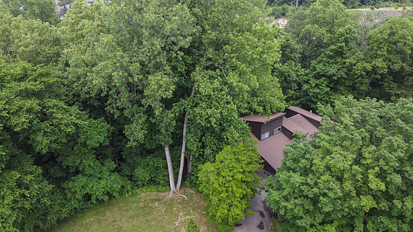 Shadowood106