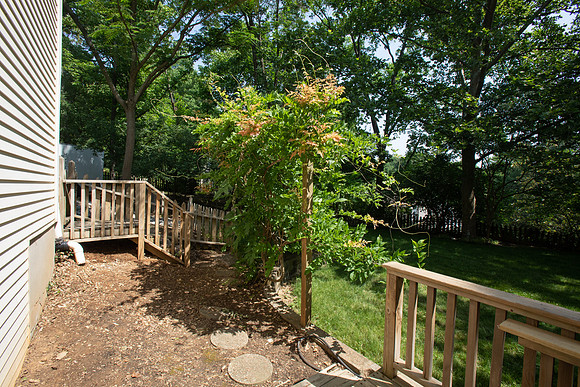 MohicanHill-168