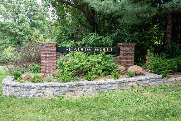 Shadowood196