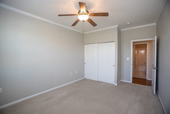 sugarpine146