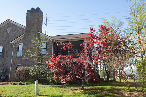 ShelbyvilleRd-148