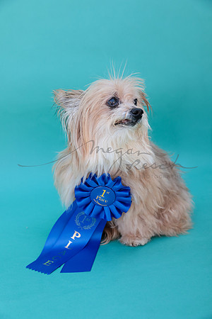 Bella-105