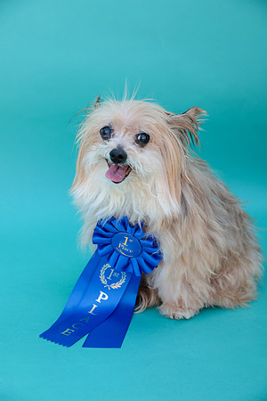 Bella-103