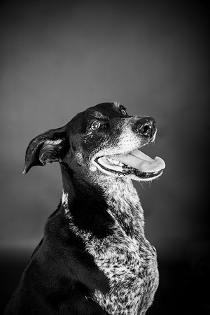 LouPepper126