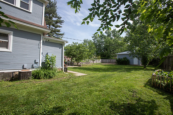 Birch-153