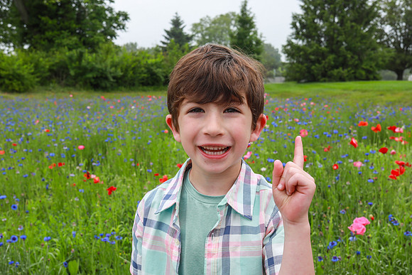 Wathenflowerfield-116