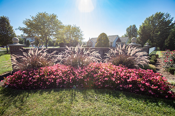 LenoxView-152