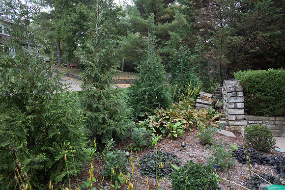 SpringDr195