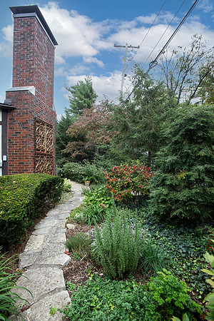 SpringDr203