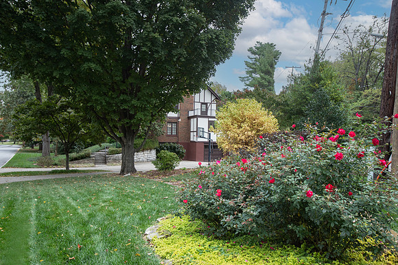 SpringDr207