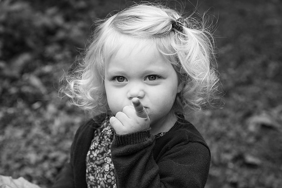 Palmquist-152