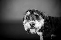 MaxWaffles-116