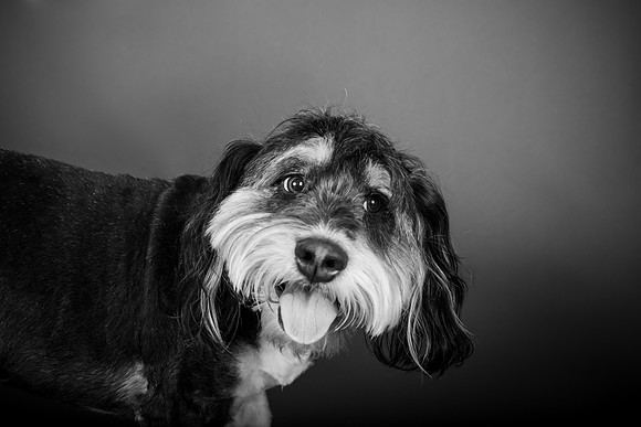 MaxWaffles-124