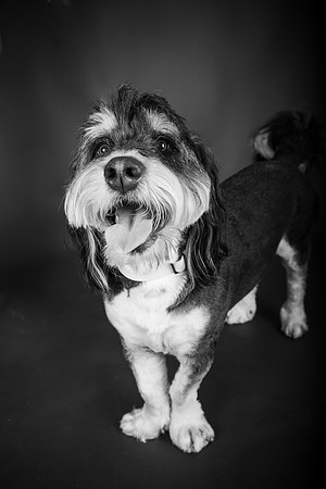 MaxWaffles-126