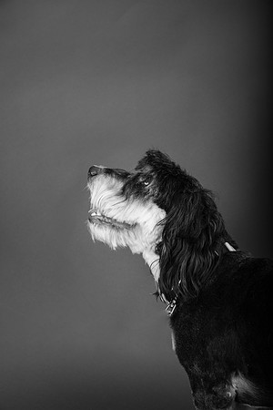 MaxWaffles-146