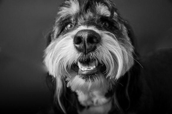 MaxWaffles-149