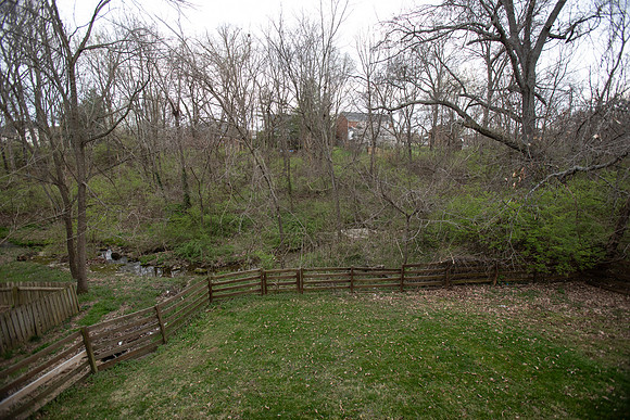 TopWalnutLoop135