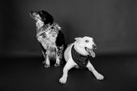 Tyconi&Huckleberry-104
