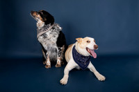 Tyconi&Huckleberry-103