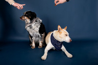 Tyconi&Huckleberry-102