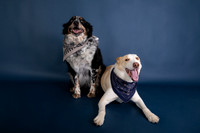 Tyconi&Huckleberry-105