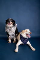 Tyconi&Huckleberry-107