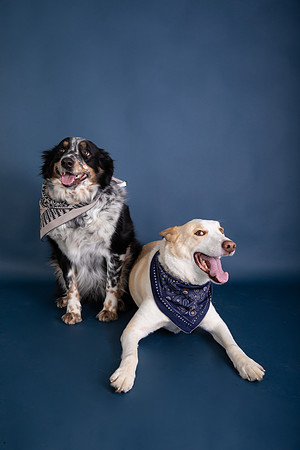 Tyconi&Huckleberry-107