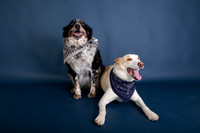 Tyconi&Huckleberry-106