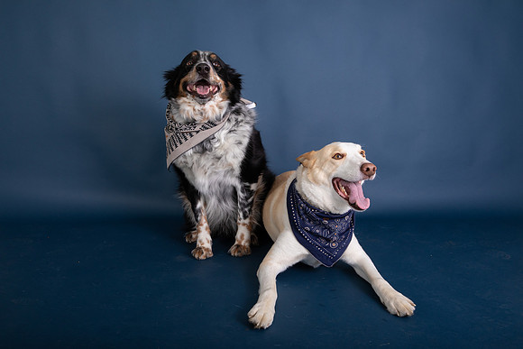 Tyconi&Huckleberry-106