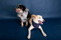 Tyconi&Huckleberry-108