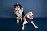 Tyconi&Huckleberry-109