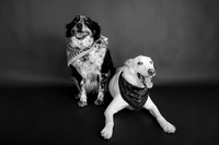 Tyconi&Huckleberry-110