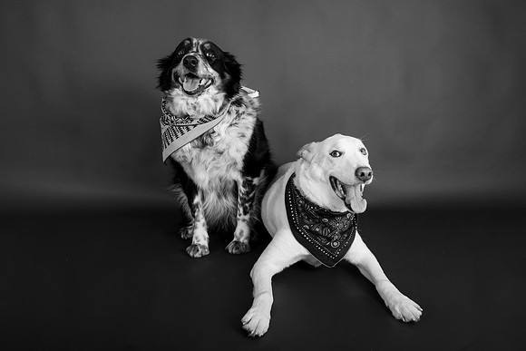 Tyconi&Huckleberry-110